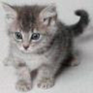 Meet your Posher, Ekaterina